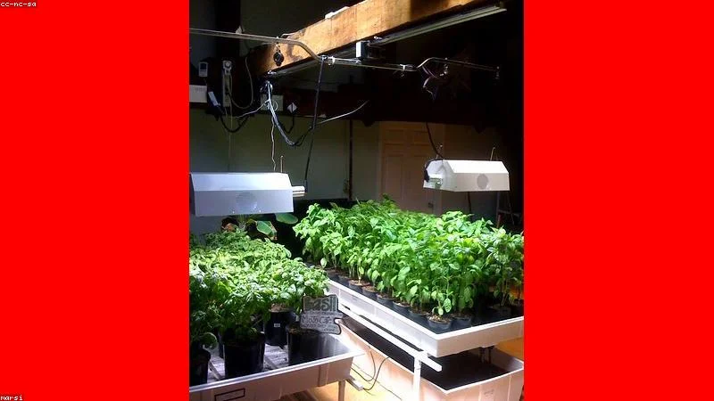 Indoor hydroponics setup